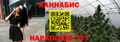гидра Бузулук