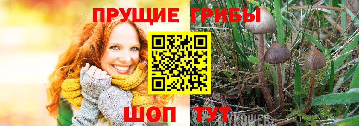 Среднеуральск  Псилоцибиновые грибы прущие грибы  сколько стоит  Вход с VPN 